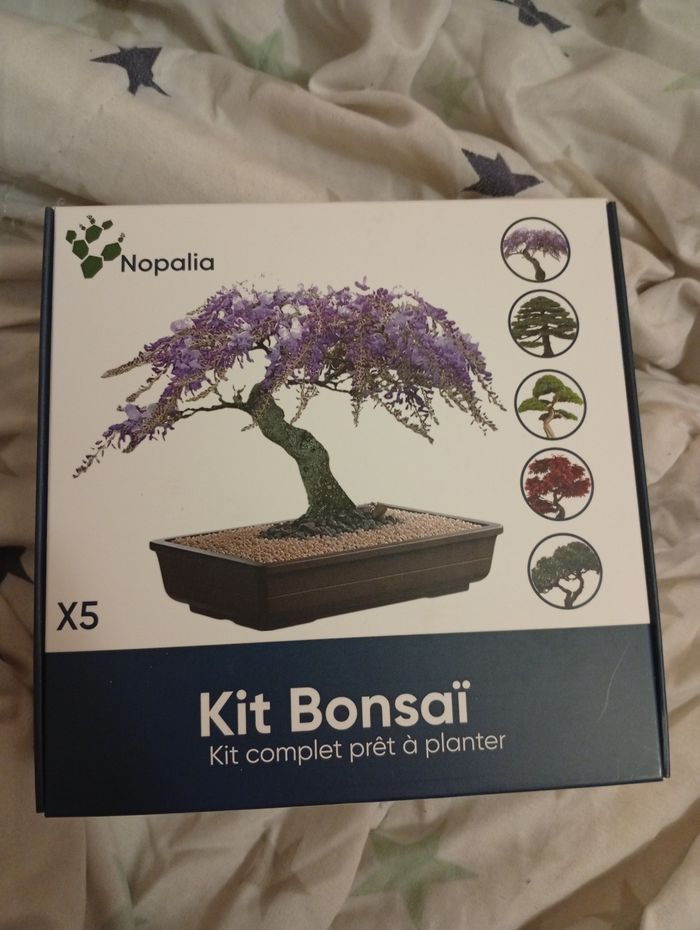 Kit Bonsaï