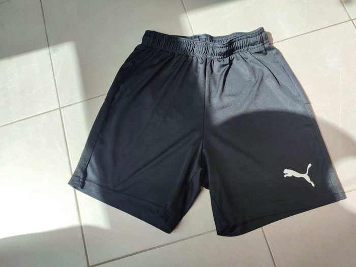 Short puma