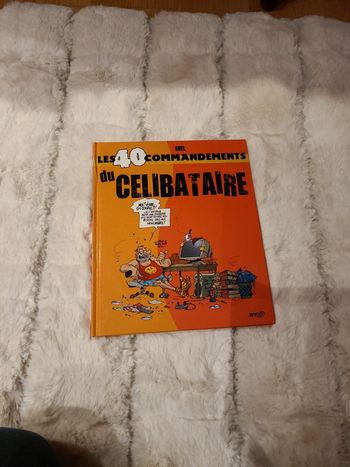 Les 40 commandements du célibataire