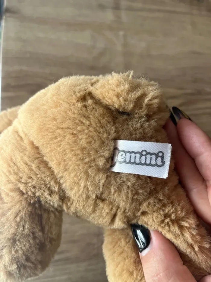 Ours en peluche - photo numéro 4
