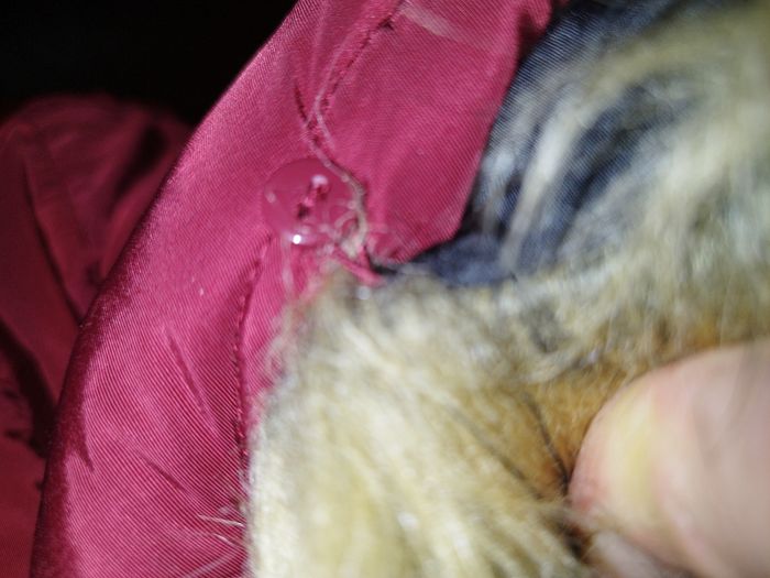 Doudoune à capuche amovible - photo numéro 8