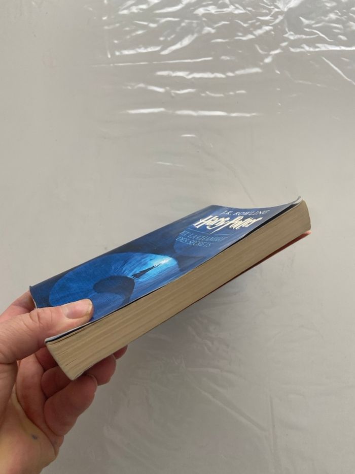 Harry Potter – Tome 2 : La Chambre des Secrets - photo numéro 4