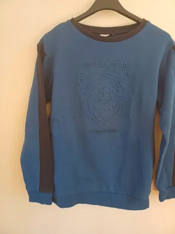 Sweat-shirt garçon 12 ans