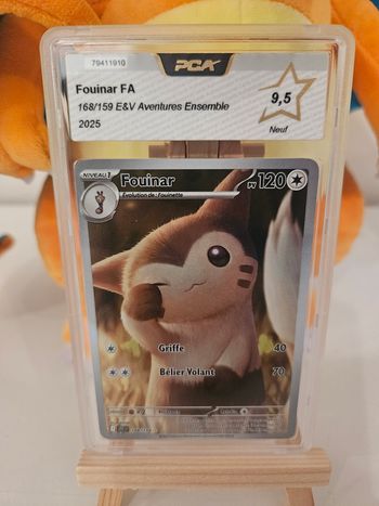 Fouinar PCA9.5