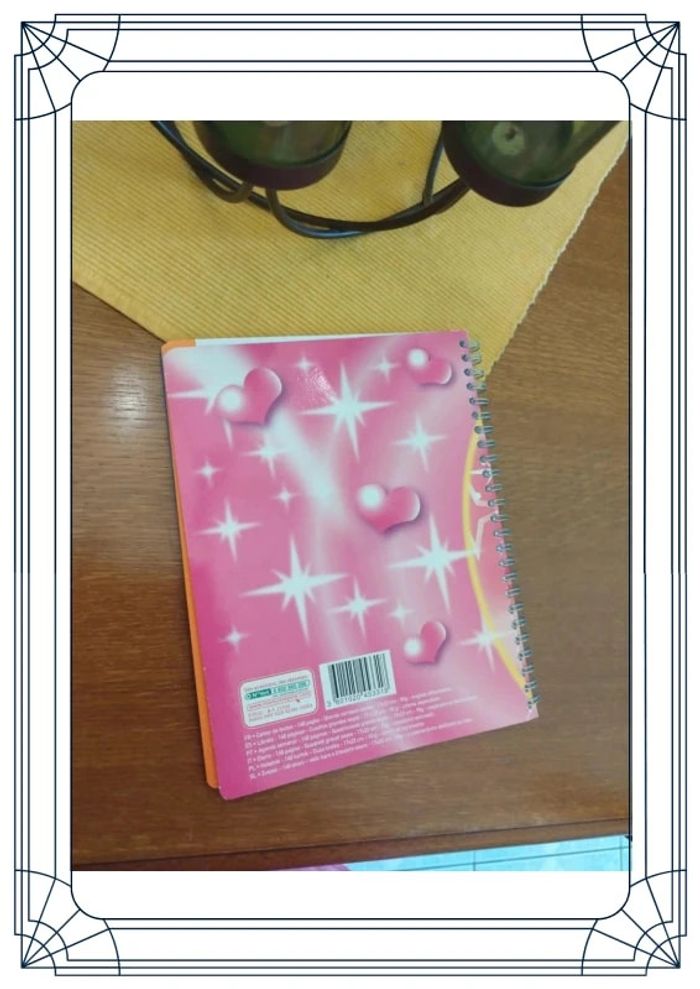 Agenda carnet école 17 x 22 cm fille fée neuf - photo numéro 10