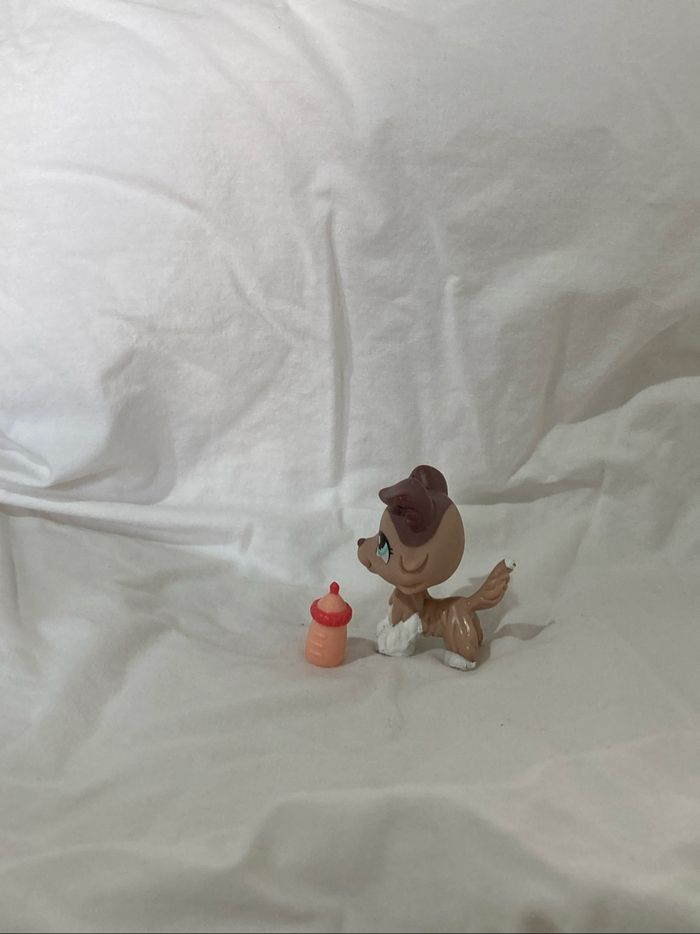 lps colley - photo numéro 2