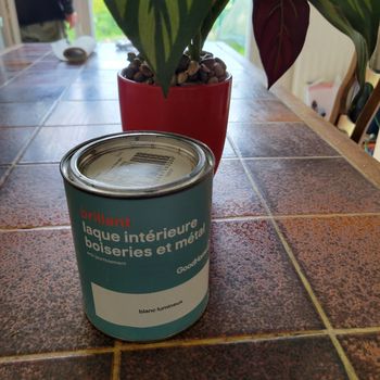 Laque intérieur boiserie et métal