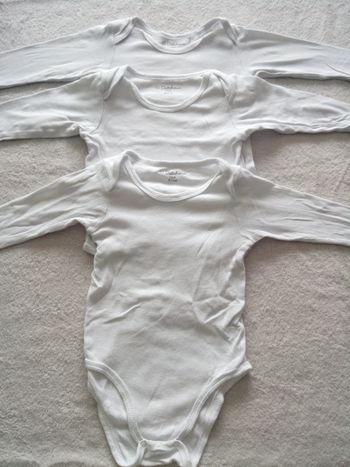 Lot de 3 bodies 18 mois (réf perso F-E21)(familleac72)