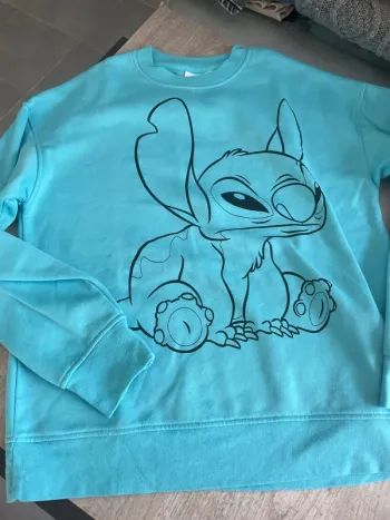 Pull Stitch Disney