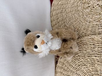 Peluche chat sauvage lynx DANI