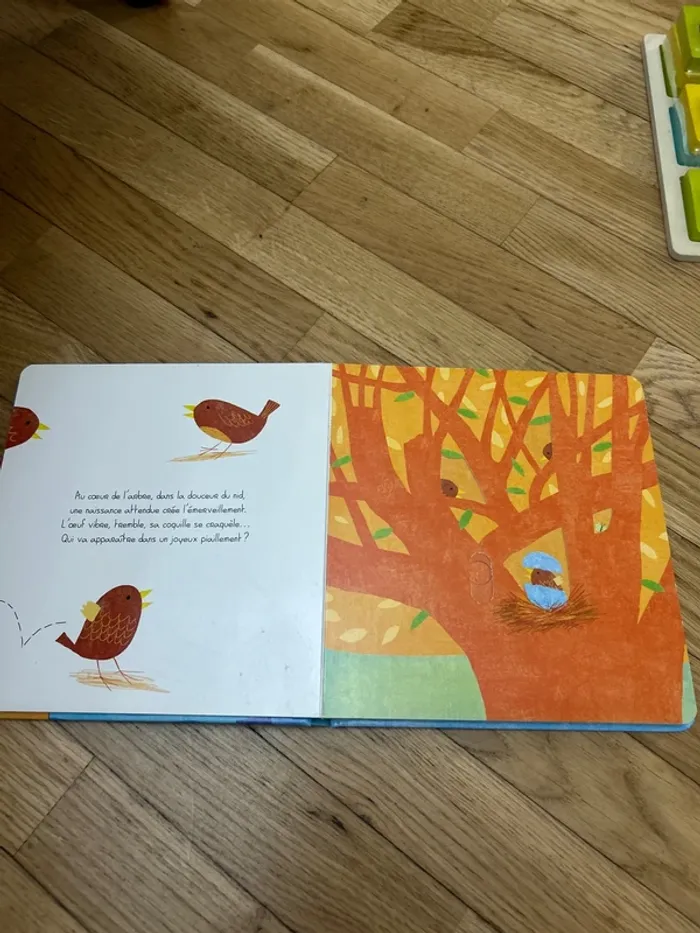 Livre à volets - photo numéro 2