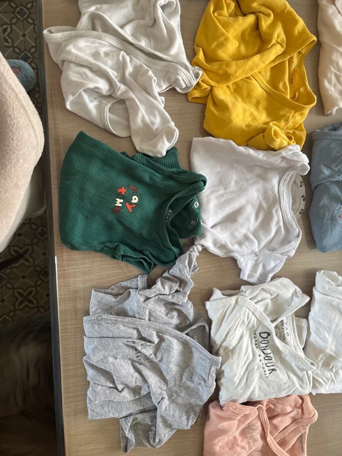 Lot de 14 bodies 9 mois - photo numéro 4