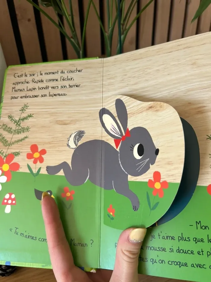 Lot de 2 livres à flops - photo numéro 4