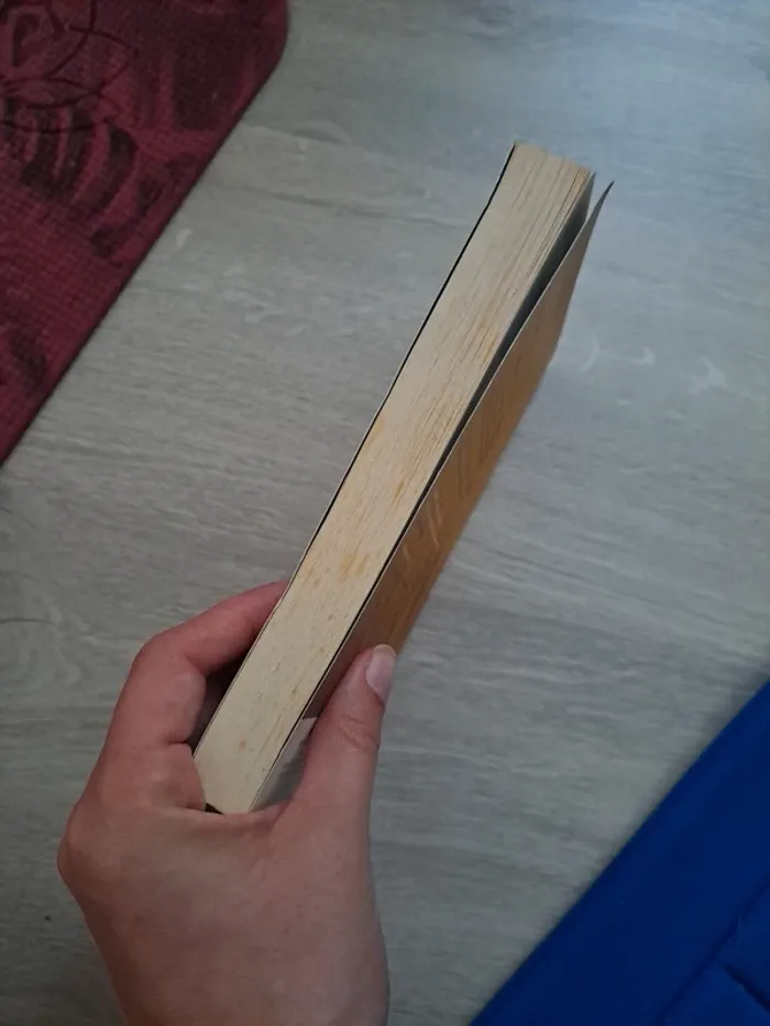 Nutshell - photo numéro 3