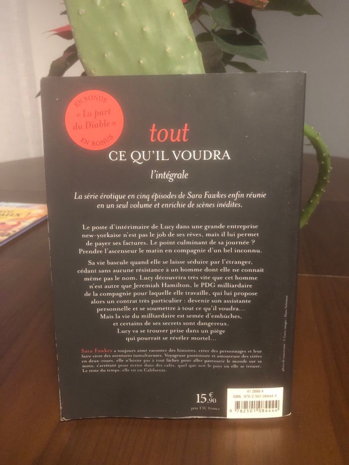 Tout ce qu’il voudra - Sara Fawkes - photo numéro 2