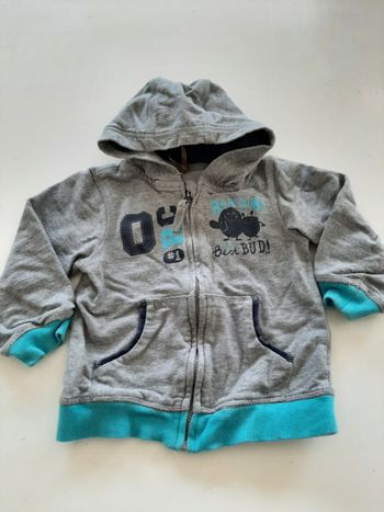 Gilet à capuche garçon orchestra Taille 23 mois