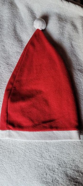 Bonnet de Noël mixte