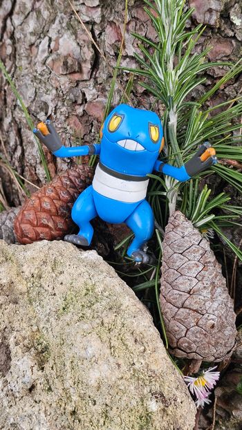 Super figurine Pokemon nintendo cradopaud