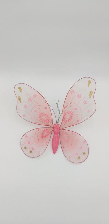 🦋 Papillon décoratif