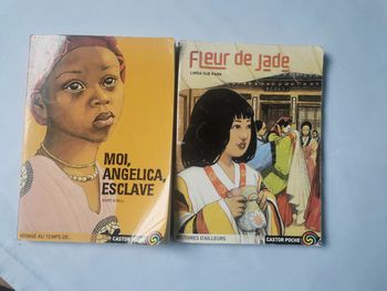 Lot de 2 livres Castor poche