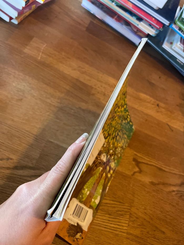 Livre L’école des max Le grand ménage - photo numéro 4