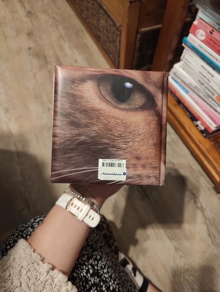 Chats - photo numéro 2