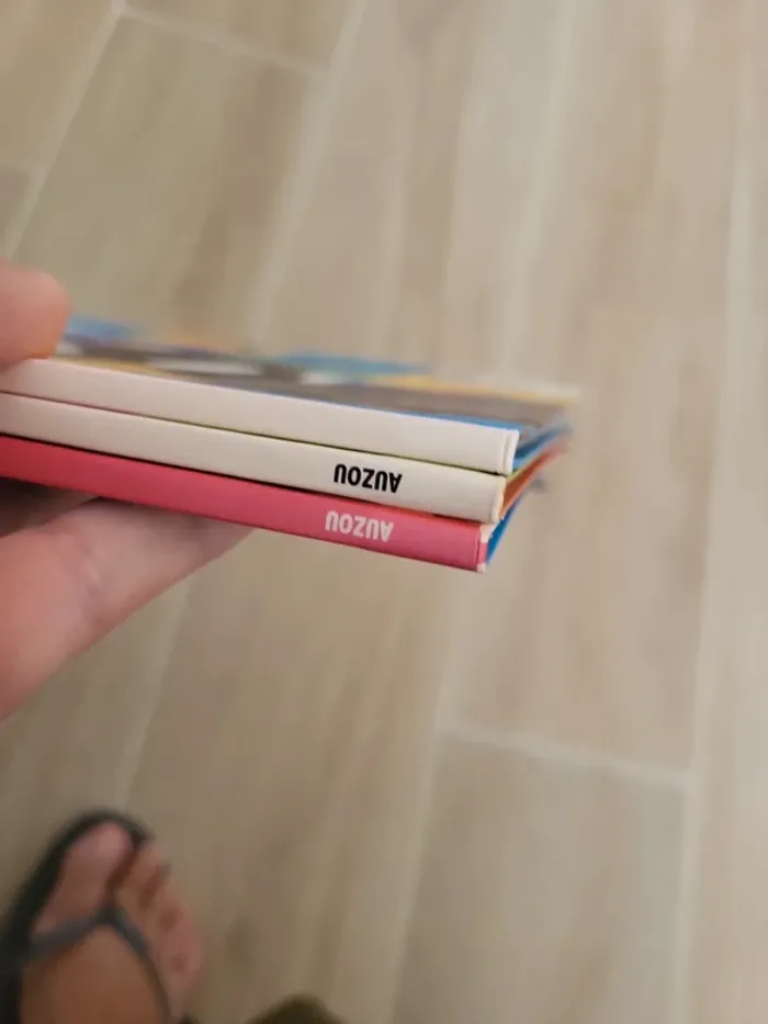 Lot 3 livres Le Loup Auzou - photo numéro 6