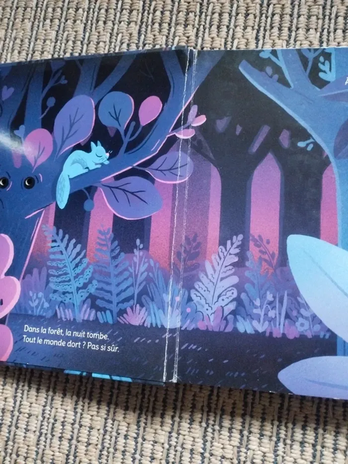 Livre lumineux Monsieur Hibou et la Forêt - photo numéro 3
