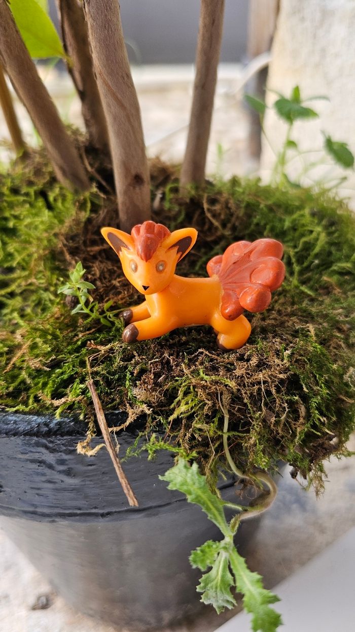 Super figurine Pokemon Nintendo Goupix - photo numéro 4