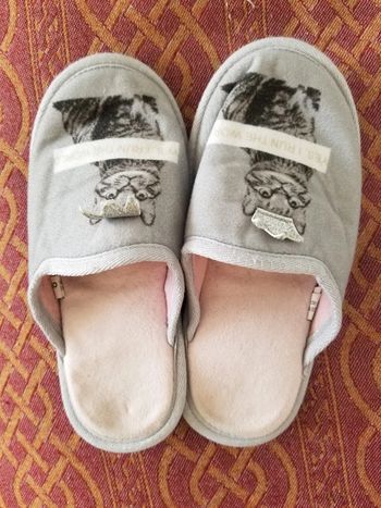 Jolis chaussons chat