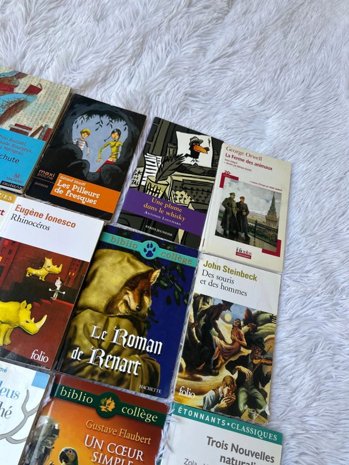 Littérature classique pour collège ou lycée - photo numéro 4