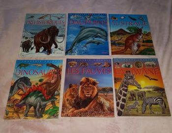 Lot 6 livres la grande imagerie