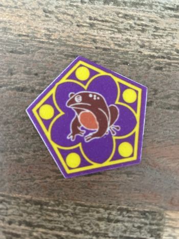 Fixeez Harry Potter Super U - Chocogrenouille