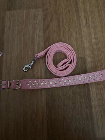 laisses  pour chien rose diamants