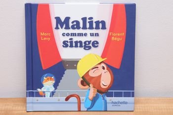 Malin comme un singe