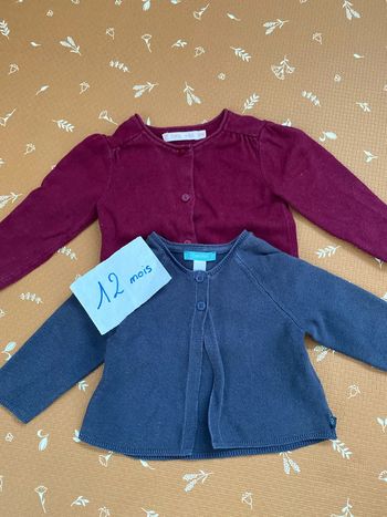 Lot 2 gilets 12 mois