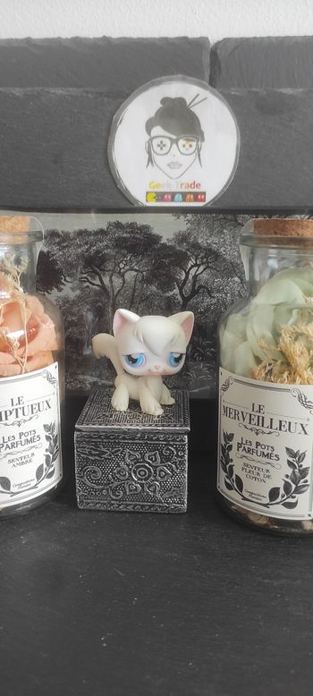 Littlest Petshop Pet Shop LPS Authentic  Authentique cat Angora 9 Long Hair Chat