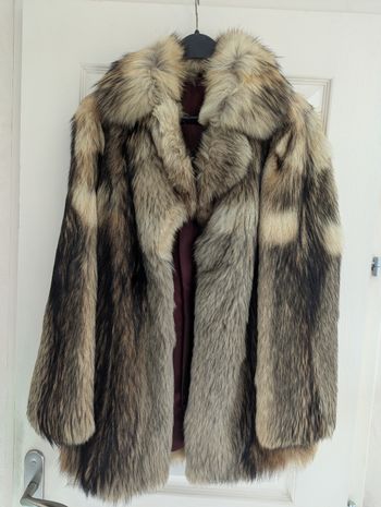 Veste 3/4 loup pleine peau taille 36