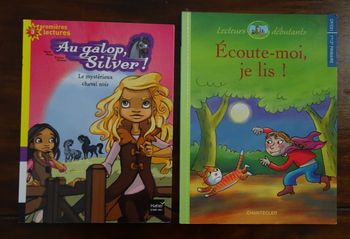 Lot de 2 livres premières lectures CP niveau 3