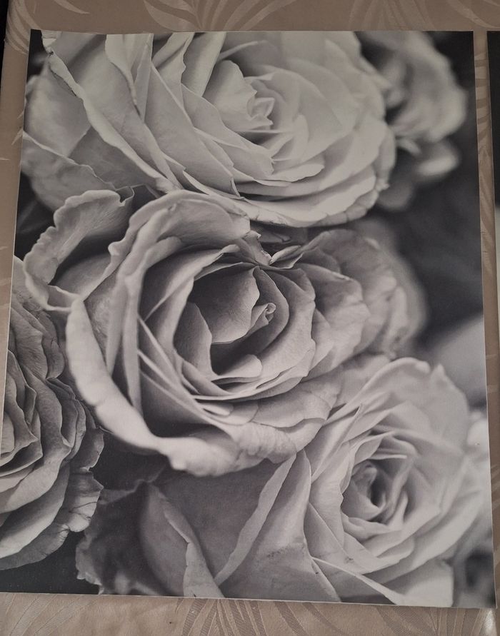 Lot de 2 toiles/ affiches imprimé fleurs noir et blanc - photo numéro 2