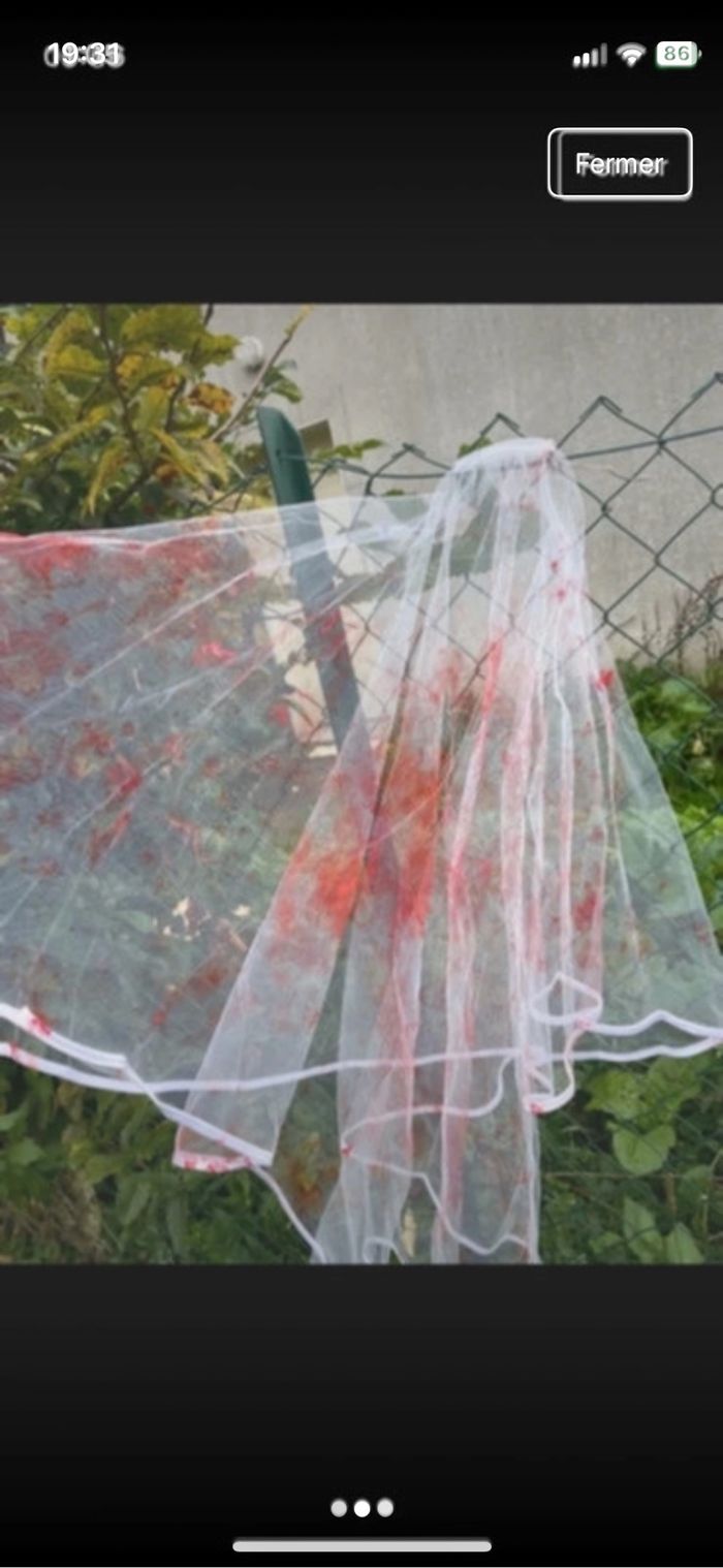 Voile mariée d Halloween - photo numéro 2