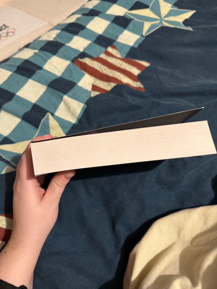 King of scots - Liv Stone - photo numéro 5