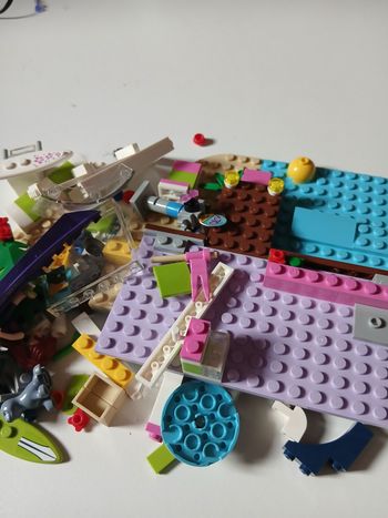 Lot de legos friends