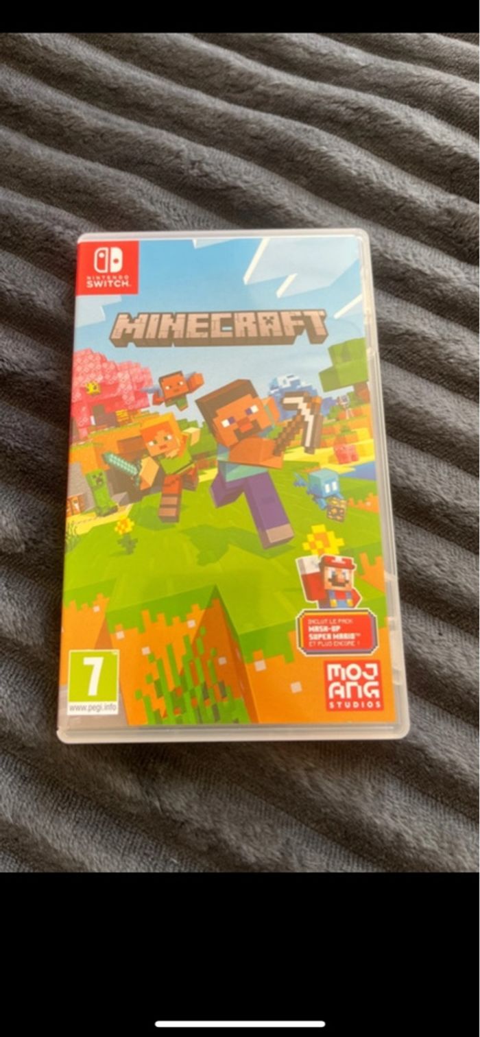Minecraft switch - photo numéro 5