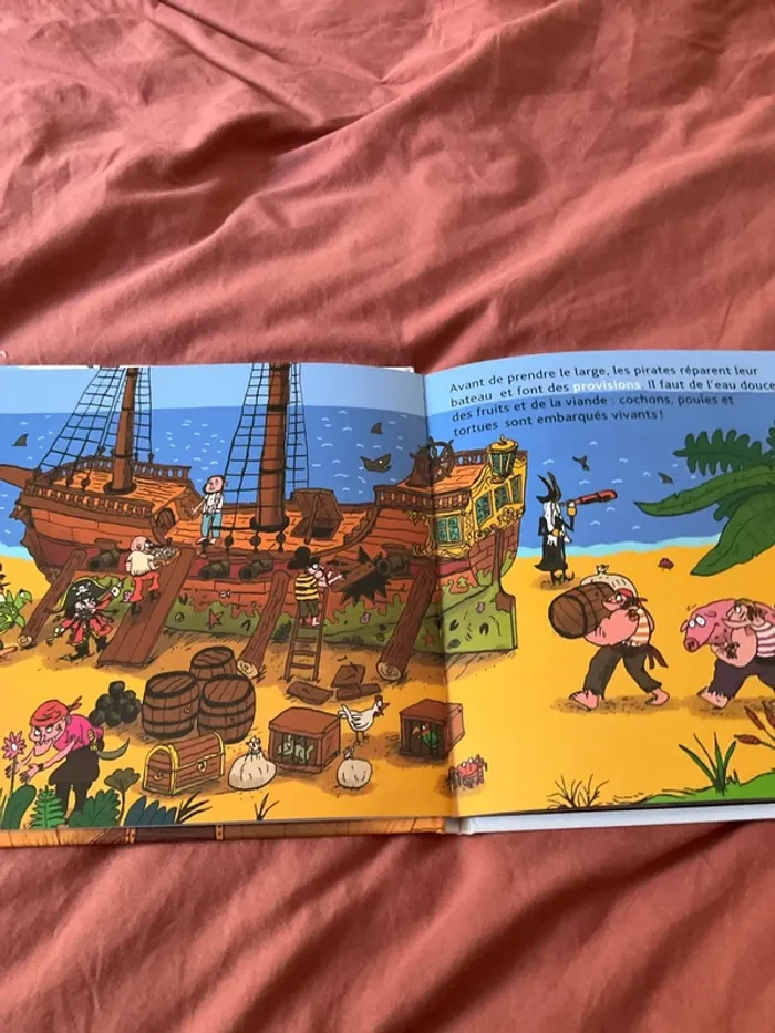 Livre les p.tits docs les pirates - photo numéro 3
