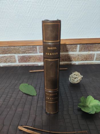 Un amour de Swann - Marcel Proust / Livre ancien 1919 ©
