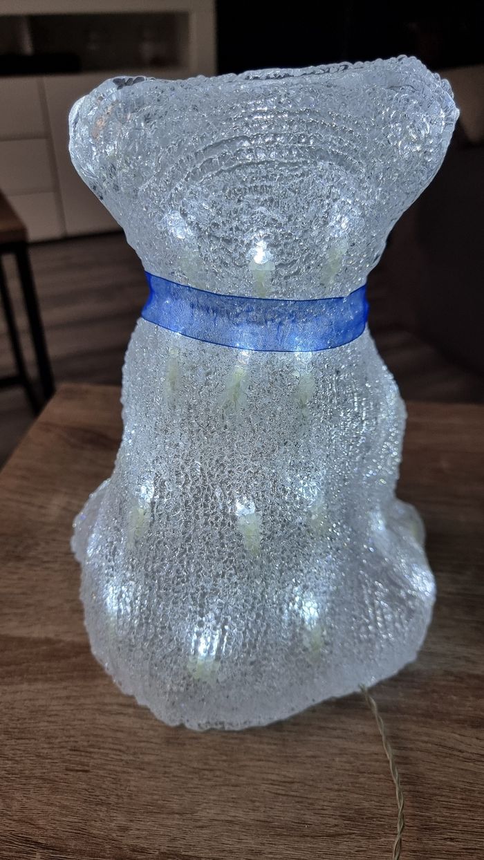 OURS LUMINEUX - photo numéro 4