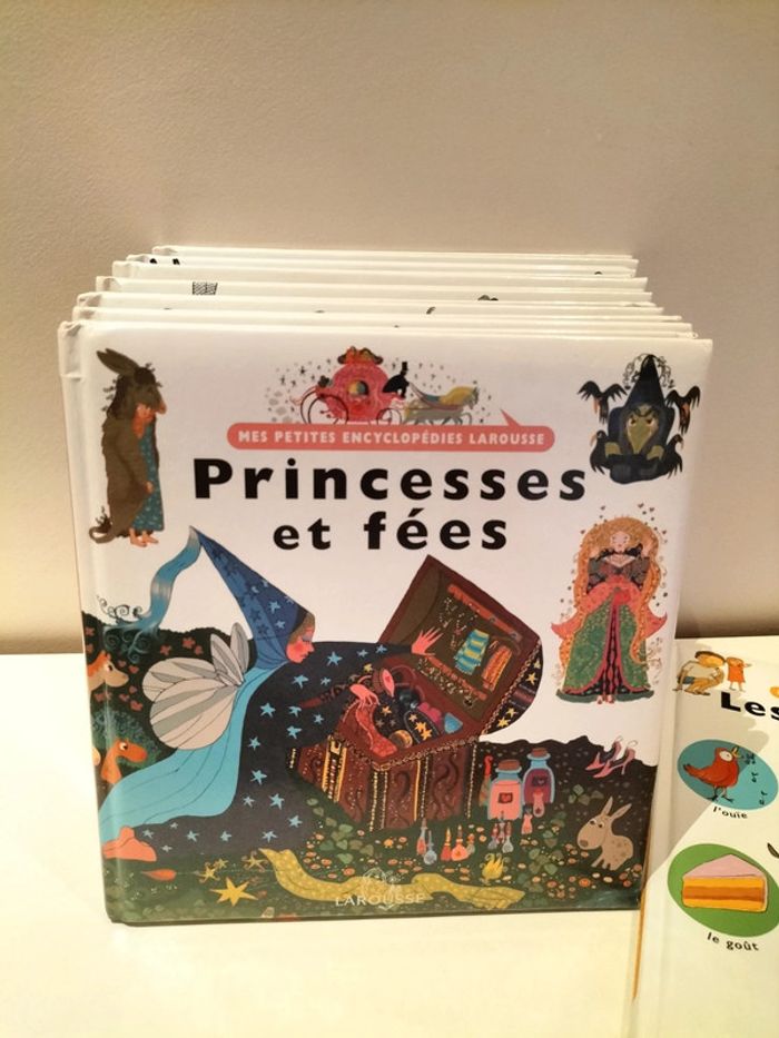 Lot de 8 documentaires Mes petites encyclopédies - photo numéro 5