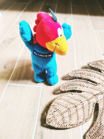 ⚽ Peluche Footix mascotte de la coupe du Monde football année 1998