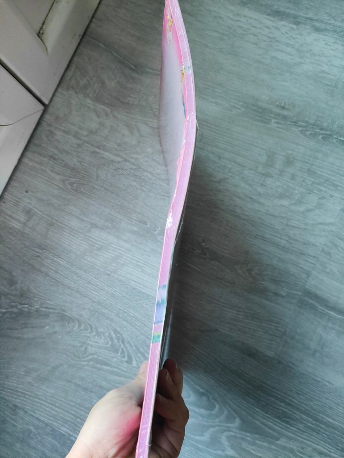 Bloc Diddl neuf - photo numéro 4